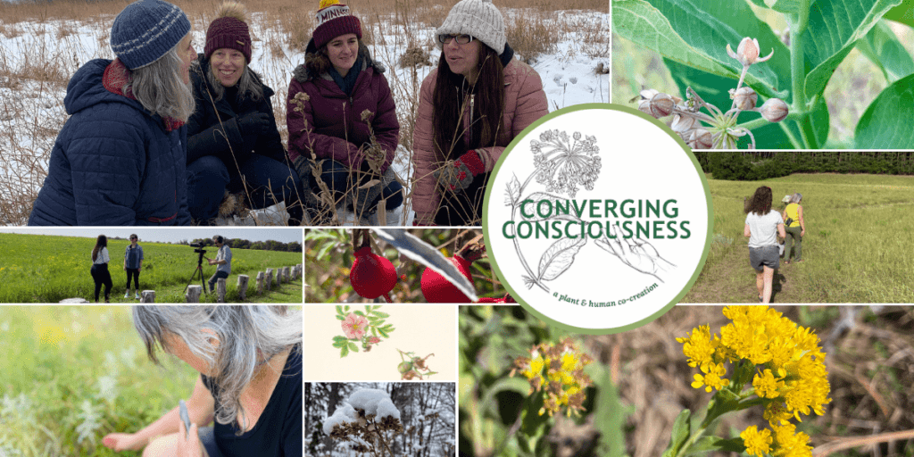 Converging Consciousness: A Plant & Human Co-Creation 